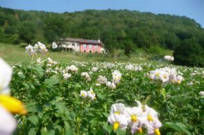 La zona arancione penalizza gli agriturismi: pioggia di disdette per Pasqua