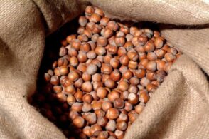 Un principe, un gigante e nocciole speciali: la leggenda del monte Dolada
