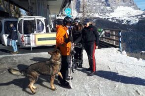 Sicurezza e legalità sulle piste dello Zoldano: arrivano Cyr e Kevin, i cani antidroga