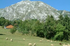 Tra soffi di streghe e lupi famelici: la leggenda del gigante Teverone