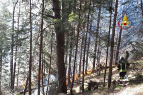 Fiamme a San Pietro di Cadore: brucia il bosco di Presenaio