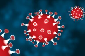 Il virus torna a circolare. Nel Feltrino arriva la variante Delta