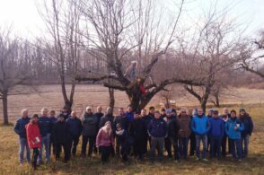 Successo per il corso su potatura e innesti: una quarantina di nuovi “pollici verdi”