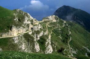 Fondazione Da Conz: workshop fotografico per immortalare la natura