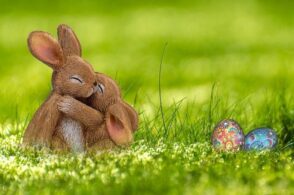 Il coniglio che inciampò nell’uovo e la più bella fra le sorprese: arriva la Pasqua