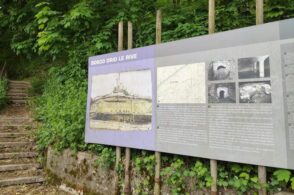 Duemila nuove piante e riqualificazione: il Bosco Drio le Rive rinasce dopo Vaia