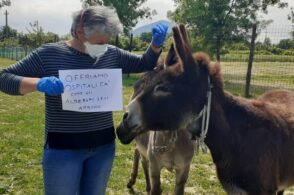 Via libera agli agriturismi: scatta la fase 2 e possono riaprire i pernottamenti