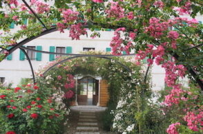 Foto di fiori, racconti di vita. Al via #storiedirose, contest del Museo di Seravella