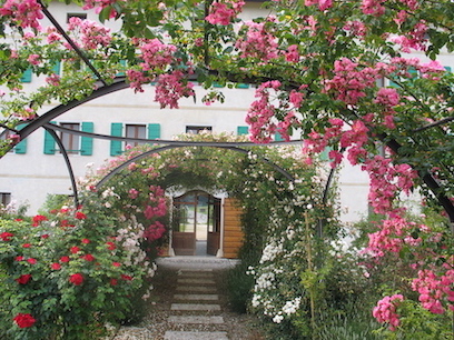 il roseto della villa, con decine e decine di specie diverse