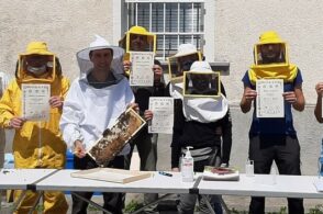L’apicoltura piace sempre di più: 75 nuovi esperti diplomati in provincia