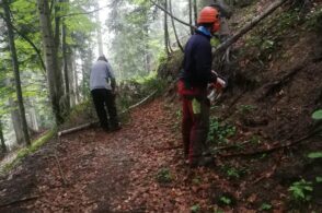 Il Cai Domegge mette in campo i volontari: sentiero tirato a lucido per l’estate