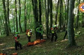 Infortunio nel bosco, 59enne cade mentre fa legna