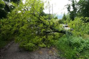 Maltempo senza tregua, massi in strada e alberi caduti. Continua lo stato di attenzione