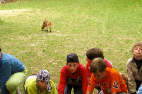 Alla scoperta della Sinistra Piave: la proposta per bambini delle guide Mazarol
