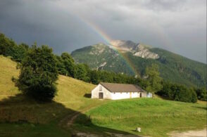 Un mese a contatto con la natura, in malga: il centro estivo di Chies