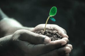 Essere poeti a 11 anni: “Considero regalo” e i versi della gratitudine