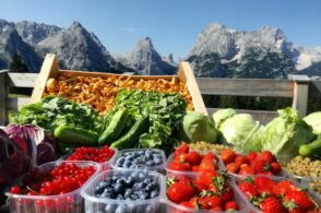 Prezzi buoni, qualità elevata: è la stagione dei piccoli frutti
