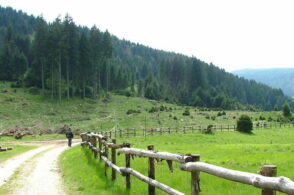 In Cansiglio un fine settimana per imparare dalla natura