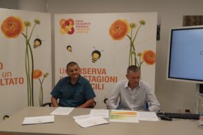 Boom di iscritti e prestazioni nel welfare targato Cassa Solidarietà Aziendale Luxottica