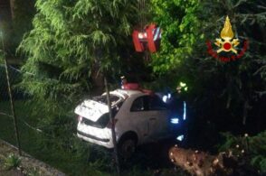 Fuori strada con l’auto: abbatte un grosso albero e una recinzione
