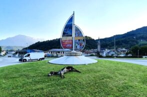 «L’asina sbranata? L’ho portata io in paese: ecco perché»