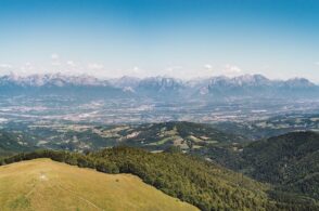 Contributi per lo sfalcio dei prati: il Comune stanzia 55mila euro