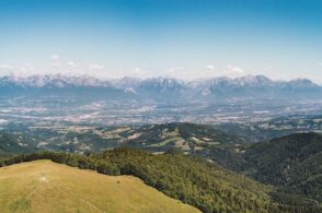 Bando “Sfalcio prati”: stanziati 60mila euro, 200 le domande