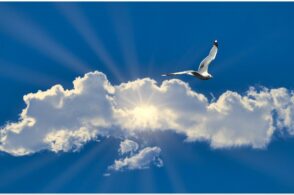 “Guardando il cielo”: la semplicità è il segreto della felicità