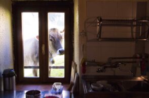 “Say cheese”: una mostra fotografica su volti e voci di malga