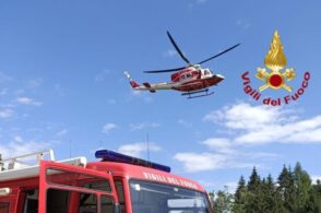 Drago salva un cane: il Labrador si era ferito in montagna