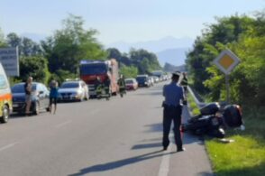 Il capriolo in strada, la frenata, l’incidente: donna in prognosi riservata