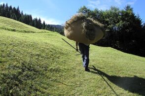 Montagna, questa sconosciuta. Un italiano su quattro pensa che la vita costi meno in quota