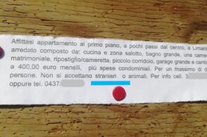 «Non si accettano stranieri o animali». Annuncio shock sulla bacheca