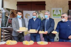 Rassegna dei formaggi: trionfano Malga Valles Alto e Casera Razzo