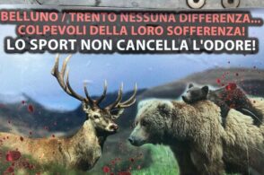 «Lo sport non cancella l’odore»: protesta animalista allo stadio