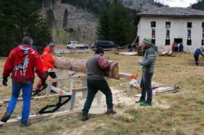 Dal legno di Vaia agli strumenti musicali: nasce il progetto CasArmonica