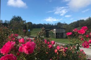 Nuova piazzetta di Cugnan: approvato il progetto definitivo