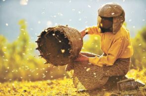 “Honeyland – Il Regno delle Api”: un capolavoro al Cinema Italia
