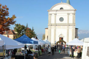 Festa dell’apicoltura e dell’agricoltura: weekend a tinte dorate