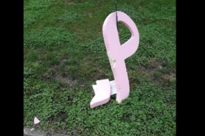 Ancora i vandali: distrutto il nastro rosa, simbolo della prevenzione ai tumori