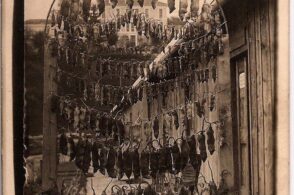 A Belluno si mangiavano perfino i topi: era l’an de la fam
