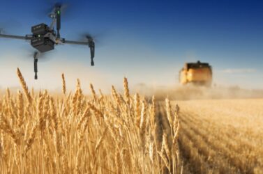 Agricoltura, il Veneto apre il cantiere della PAC 2028-2034