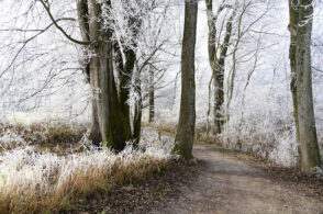 Pioggia e neve, poi crollo termico: temperature giù di 5-6 gradi