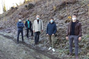 “Giornata nazionale degli alberi”: nuove piante dedicate ai nuovi nati