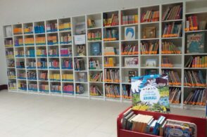 Servizio civile universale: Borgo Valbelluna punta su biblioteche e cultura