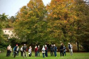 “Boschi a Natale”: domenica le visite al Parco della Vena d’Oro