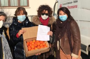 Donare e sensibilizzare: le clementine contro la violenza di genere