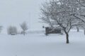 Manto bianco sulle Dolomiti: il ponte dell’Immacolata è già in atmosfera natalizia