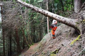 Manutenzione sentieri, ci pensa il Parco: stipulata una convenzione da 25mila euro