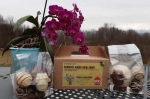Aido: pecore e uova di cioccolato per la donazione di organi